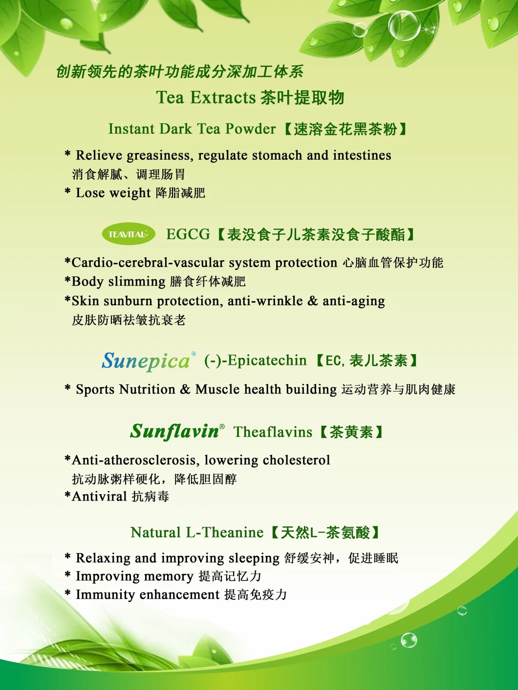 Πράσινο εκχύλισμα 90% 95% τσαγιού (-) - Epicatechin (ec) CAS 490-46-0