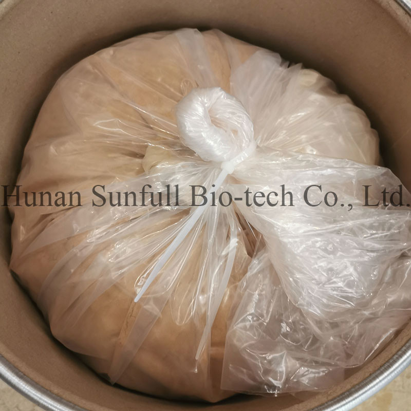 Εκχύλισμα φύλλων Ginkgo Biloba 24/6 CAS 90045-36-6 Cp USP561 Ep EC396