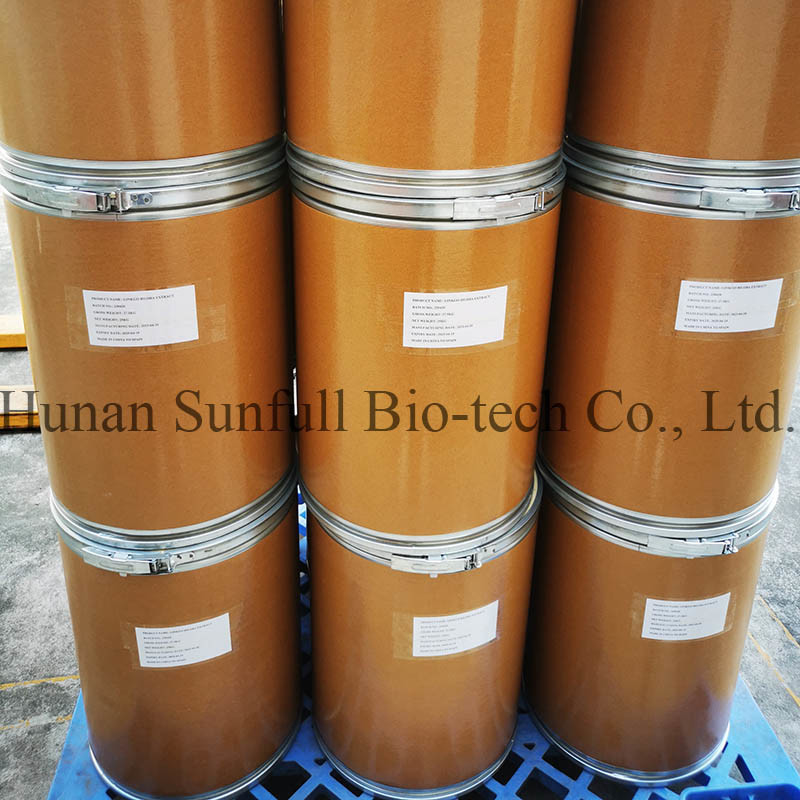 Εκχύλισμα φύλλων Ginkgo Biloba 24/6 CAS 90045-36-6 Cp USP561 Ep EC396