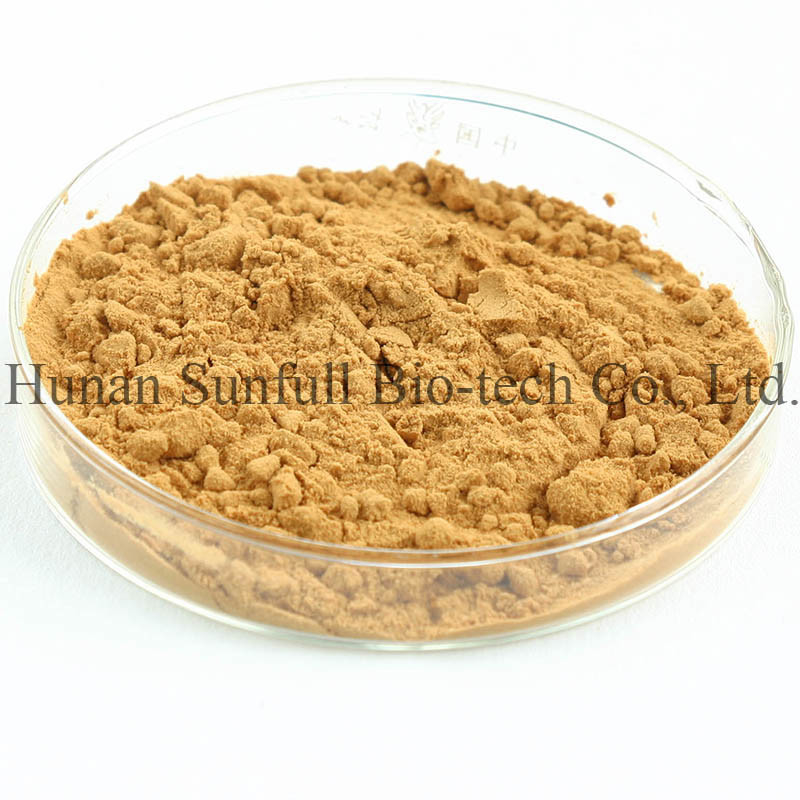 Εκχύλισμα φύλλων Ginkgo Biloba 24/6 CAS 90045-36-6 Cp USP561 Ep EC396