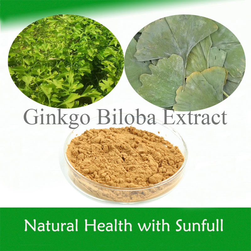 Εκχύλισμα φύλλων Ginkgo Biloba 24/6 CAS 90045-36-6 Cp USP561 Ep EC396
