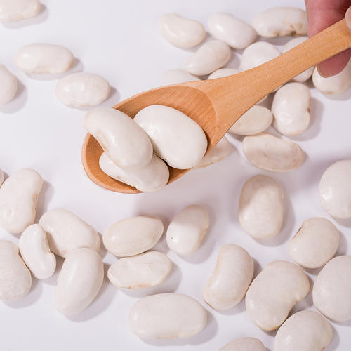 Εκχύλισμα λευκών νεφρών (Phaseolus vulgaris) υψηλής καθαρότητας α-αμιλάσης για τη διαχείριση του βάρους και του σακχάρου στο αίμα