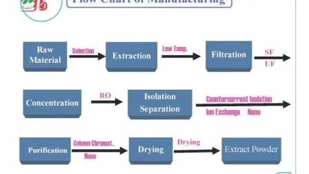 Cordyceps Sinensis εκχύλισμα σκόνη με 10% πολυσακχαρίδιο για αντιφλεγμονώδη λεπτή καφέ κίτρινη σκόνη