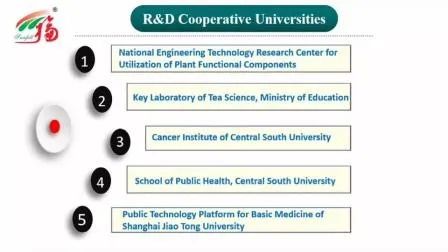Εκχύλισμα σκόνης Marasmius Androsaceus υψηλής ποιότητας με μέγεθος 80 Mesh, διάρκεια ζωής 2 ετών και παραγωγική ικανότητα 20t/έτος