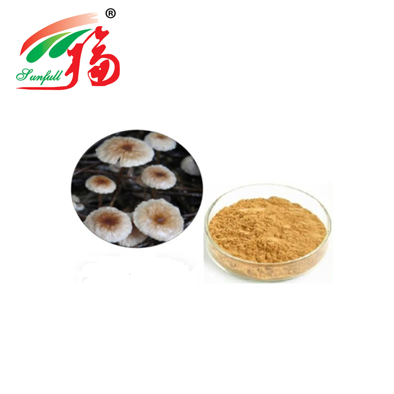 Εκχύλισμα σκόνης Marasmius Androsaceus υψηλής ποιότητας με μέγεθος 80 Mesh, διάρκεια ζωής 2 ετών και παραγωγική ικανότητα 20t/έτος