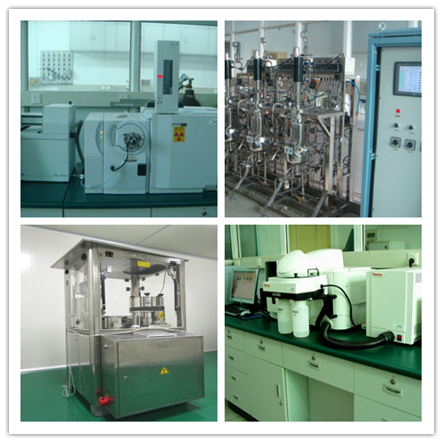 Εκχύλισμα σκόνης Marasmius Androsaceus υψηλής ποιότητας με μέγεθος 80 Mesh, διάρκεια ζωής 2 ετών και παραγωγική ικανότητα 20t/έτος