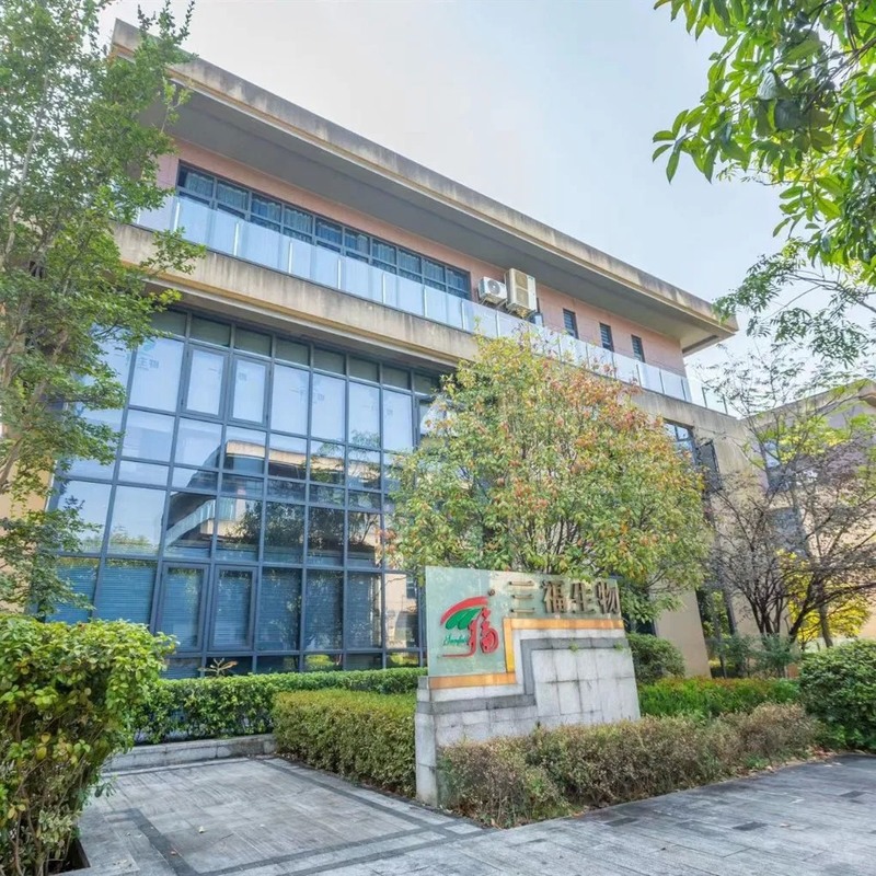 Χονδρική σκόνη εκχυλίσματος Armillaria Mellea με παραγωγική ικανότητα 20t/έτος, λεπτή καφέ-κίτρινη σκόνη και καλή διαλυτότητα στο νερό