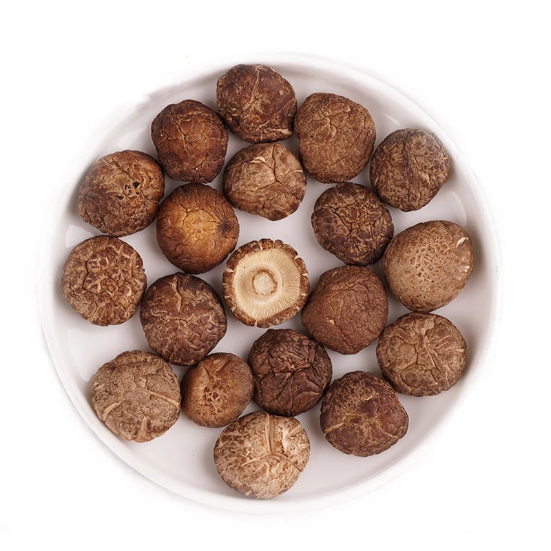 Reishi Mushroom Extract 40% Polysaccharides for Functional Food with Liver Protection Anti-microbial and Anti-cancer Properties