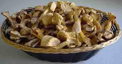 Εκχύλισμα Agaricus Blazei 40% Πολυσακχαρίτες για Λειτουργικά Τρόφιμα και Προϊόντα Υγείας