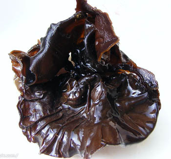 Σκόνη Εκχυλίσματος Μαύρου Μανιταριού με 40% Πολυσακχαρίτες για Λειτουργικά Τρόφιμα και Προϊόντα Υγείας για τη Ρύθμιση του Σακχάρου στο Αίμα και Υπολιπιδαιμική Δράση