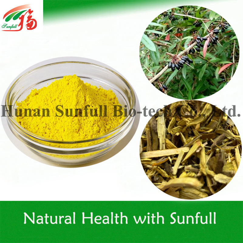 Αντιβακτηριακό εκχύλισμα χλωριούχου βερβερίνης Κίτρινη κρυσταλλική σκόνη από το είδος Berberis (Barberry) με αριθμό CAS 633-65-8