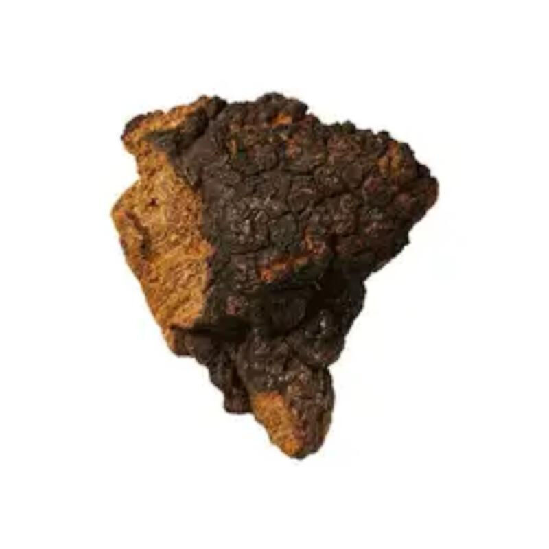 Εκχύλισμα Chaga 20% Πολυσακχαρίτες για Λειτουργικά Τρόφιμα για Ενίσχυση της Ανοσίας ως Σκόνη Εκχυλίσματος Μανιταριών