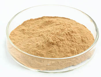 Εκχύλισμα μανιταριών στρείδι 20% Πολυσακχαρίτες Λεπτή καφέ κίτρινη σκόνη με αντιαυμογενείς ιδιότητες για λειτουργικά τρόφιμα