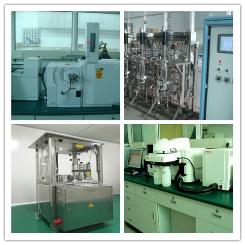 Υψηλής ποιότητας εκχύλισμα μανιταριών Shiitake 50% Lentinan Brown Yellow Powder για τροφικές και φαρμακευτικές εφαρμογές