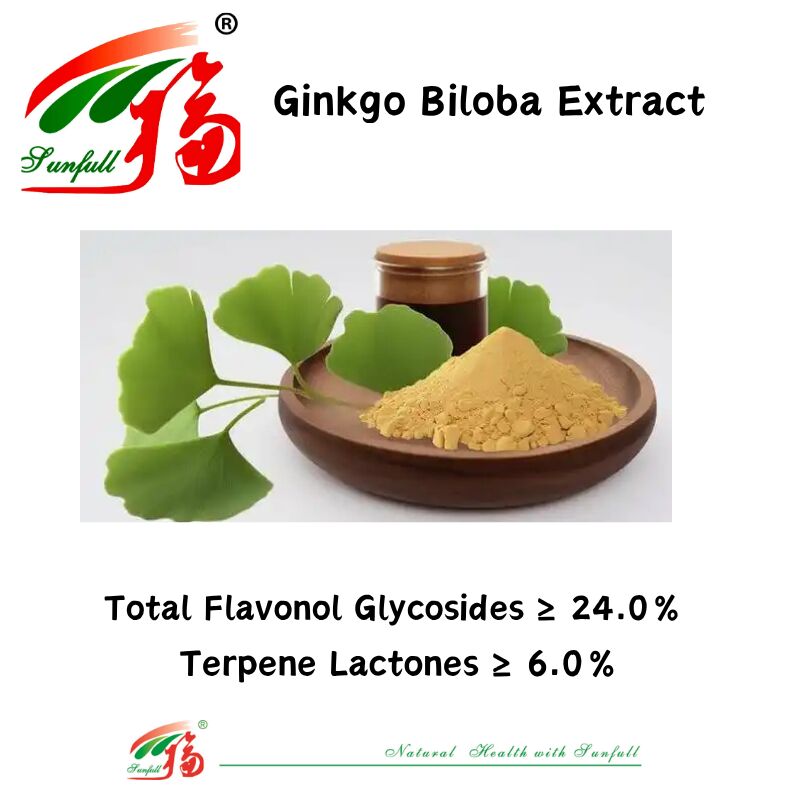 100% Φυσικό Υδατοδιαλυτό 24% Ginkgolides Ginkgo Biloba Leaf Extract σε σκόνη για συμπληρώματα διατροφής