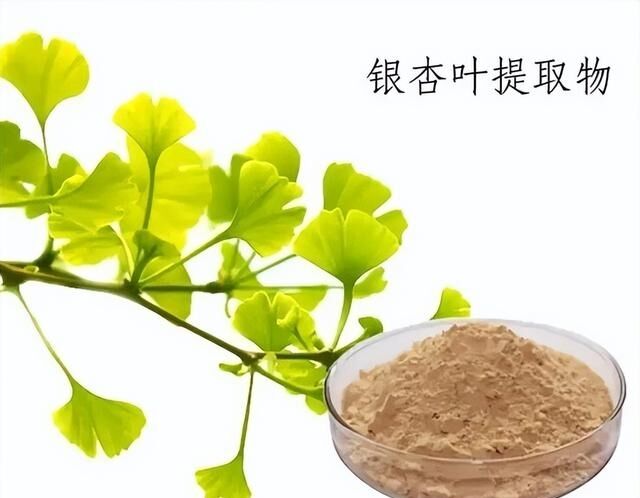 100% Φυσικό Υδατοδιαλυτό 24% Ginkgolides Ginkgo Biloba Leaf Extract σε σκόνη για συμπληρώματα διατροφής