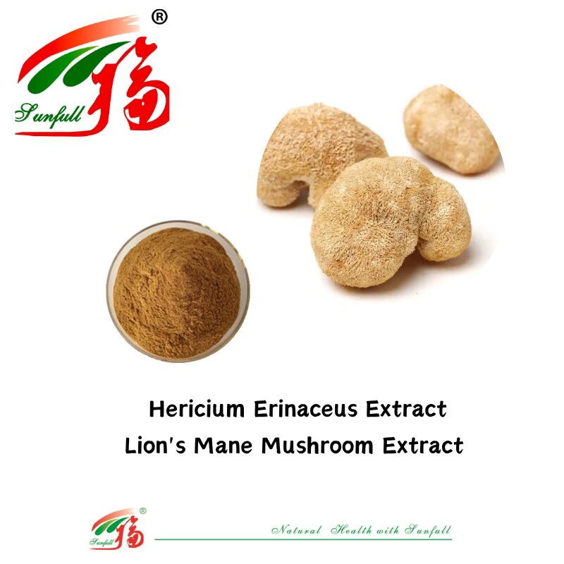 Συμπληρώματα διατροφής Hunan Sunfull Agaricus Subrufescens/Hericium Erinaceus/Antrodia/Cordyceps Sinensis/Coriolus Versicolor/Εξάρτημα μανιταριών σε σκόνη