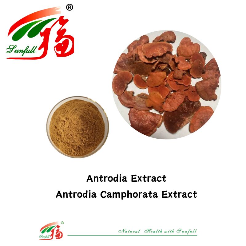 Συμπληρώματα διατροφής Hunan Sunfull Agaricus Subrufescens/Hericium Erinaceus/Antrodia/Cordyceps Sinensis/Coriolus Versicolor/Εξάρτημα μανιταριών σε σκόνη