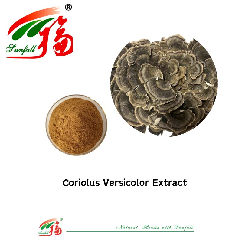 Συμπληρώματα διατροφής Hunan Sunfull Agaricus Subrufescens/Hericium Erinaceus/Antrodia/Cordyceps Sinensis/Coriolus Versicolor/Εξάρτημα μανιταριών σε σκόνη