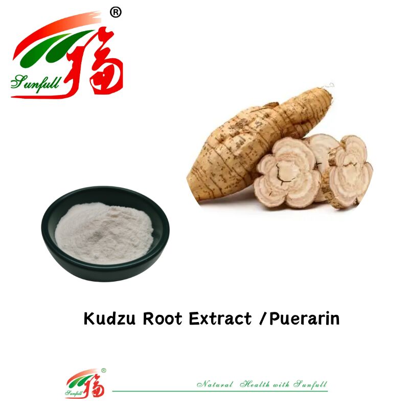 Free Sample High Quality Kudzu Root Extract Pueraria Lobata Extract Puerarin 10%-98% CAS 3681-99-0 Αρκετά από αυτά τα φάρμακα είναι από το κρέας του Kudzu.