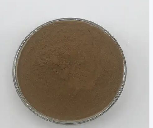 Το ISO/Kosher προωθεί την πέψη Εκχύλισμα σπόρων Cassia 10: 1 / 20% HPLC Sennosides Senna Leaf Extract