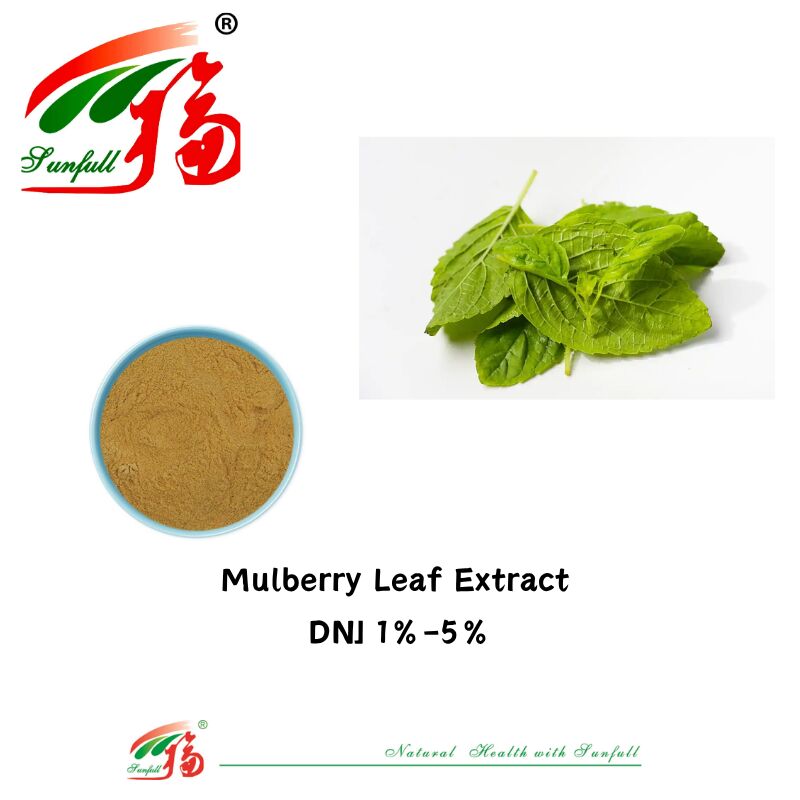 Δωρεάν δείγμα τροφίμων βαθμού 1%-5% HPLC Deoxynojirimycin Dnj Powder Polysaccharides Mulberry Leaf Extract Powder Αντιγηραντικό Αντιοξειδωτικό για Καλλυντικές Συνθέσεις