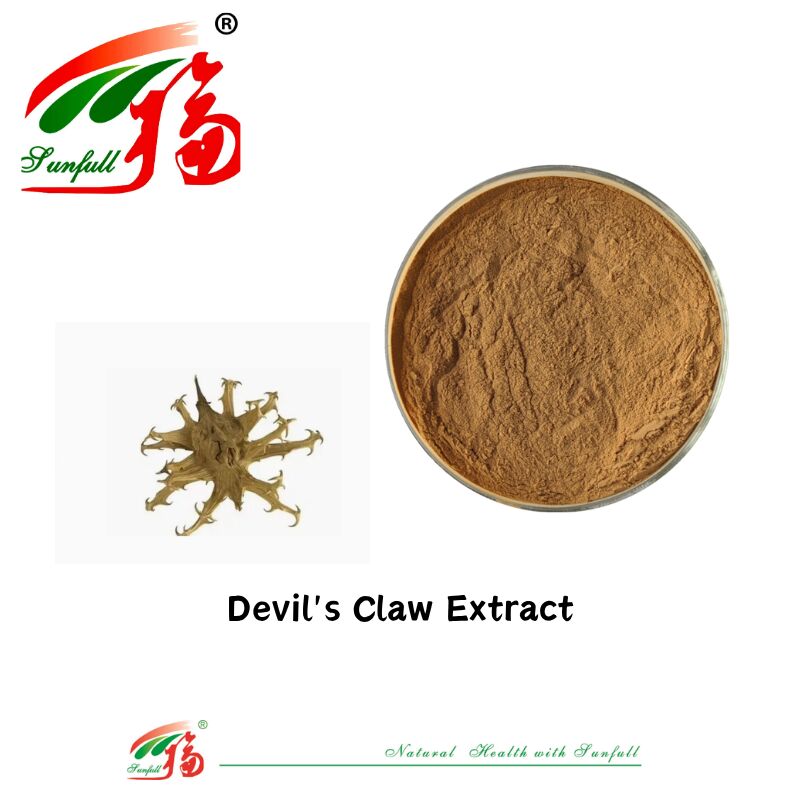 Φυσικό καθαρό CAS 19210-12-9 Harpagophytum Procumbens σκόνη 5% Harpagoside Devils Claw Extract