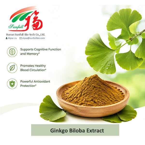 Φυσικό Εκχύλισμα Ginkgo Biloba Cp/ USP/ Ep/ Υδατοδιαλυτό Τύπου για συμπληρώματα φαρμακευτικής χρήσης