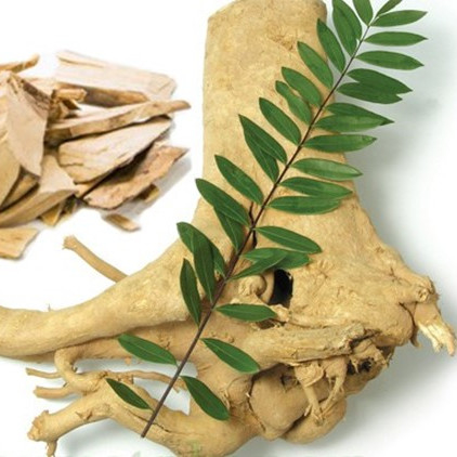 Αντι προερχόμενο από ιό συμπλήρωμα 2,5% Eurycomanone Eurycoma longifolia Eurycoma longifolia για την αποκατάσταση κούρασης