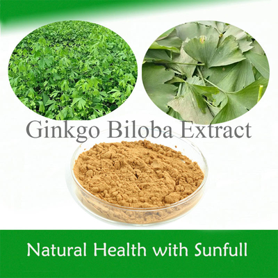 Ginkgo Biloba PE 24% Συνολικές Φλαβονές 6% Τερπενικές Λακτόνες 5ppm για την Υγεία της Καρδιάς