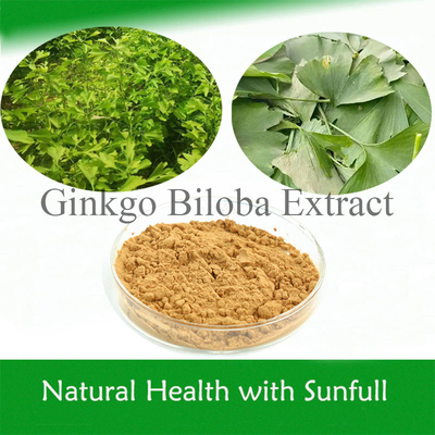 Φυσικό Ginkgo Biloba Εκχύλισμα 24% Ginkgoflavoglycosides 6% Terpene Lactones