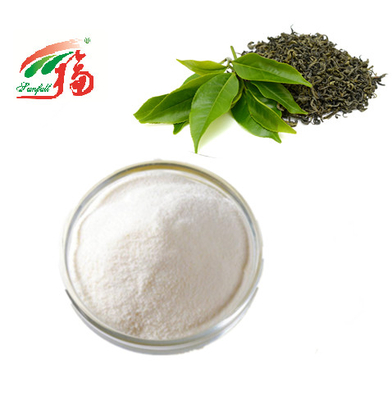 KOSHER πράσινο Gallate σκονών 98% EGCG Epigallocatechin εκχυλισμάτων τσαγιού για τα καλλυντικά