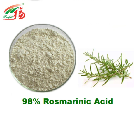 Όξινο φυσικό Rosemary συμπλήρωμα αποσπασμάτων 98% Rosmarinic για το αντιοξειδωτικό